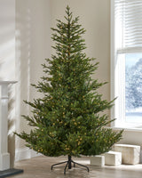 Pre-Lit Douglas Fir Christmas Tree