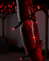 LINK PRO LED String Lights, Black Cable, Red