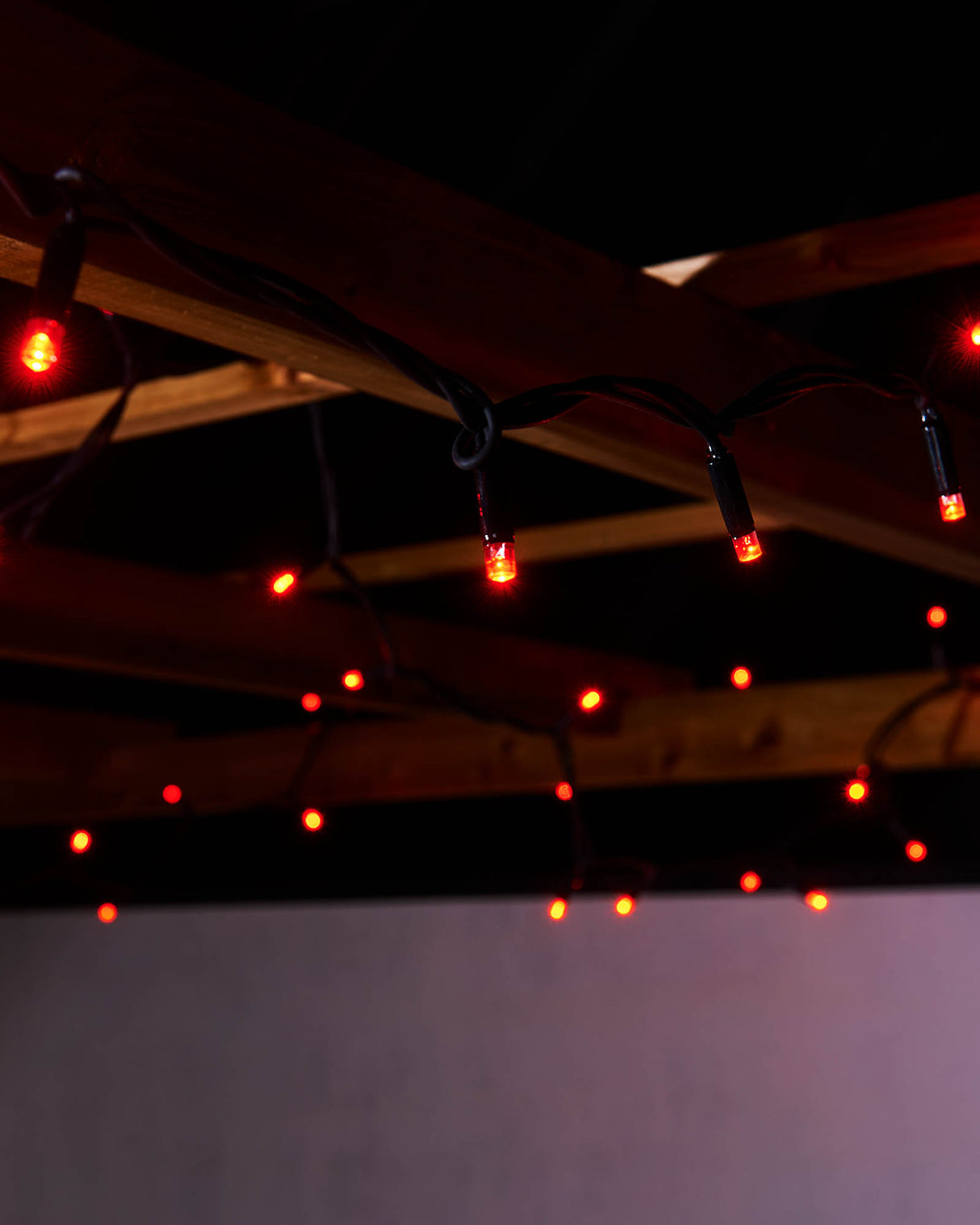 LINK PRO LED String Lights, Black Cable, Red