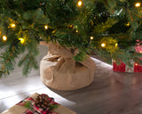 Pre-Lit Norway Spruce Potted Christmas Tree